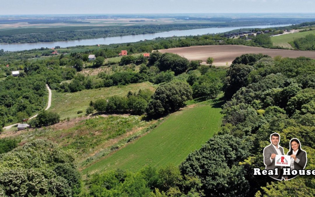 Najlepši plac za velike projekte sa lipovom šumom i nestvarnim pogledom na Dunav