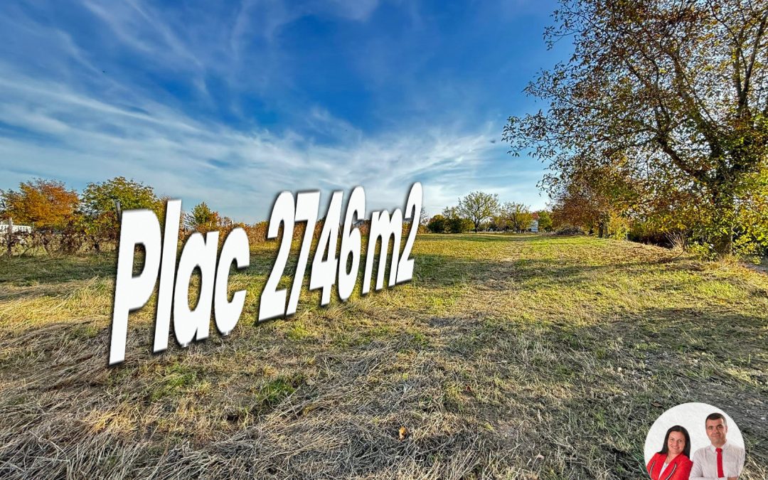 Plac u Vrdniku – tamo gde Fruška gora svaki dan gleda u tvoje dvorište