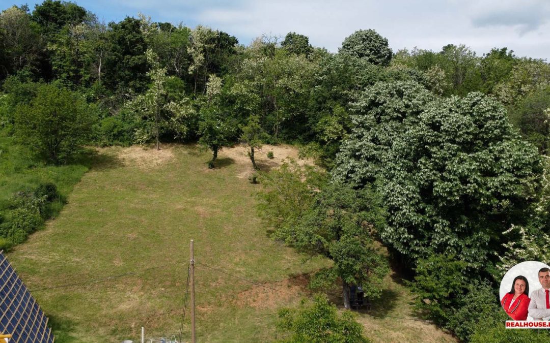 Plac na Paragovu – šuma, pogled i blizina Novog Sada