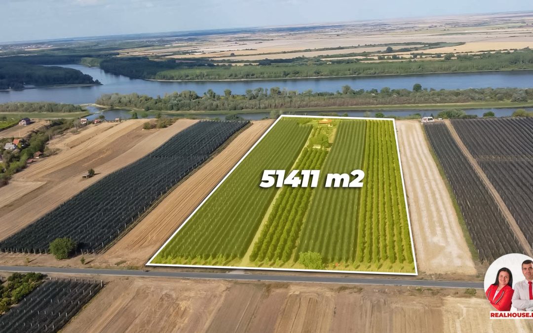 Stari Slankamen-jedinstveno imanje na litici iznad ušća Tise u Dunav